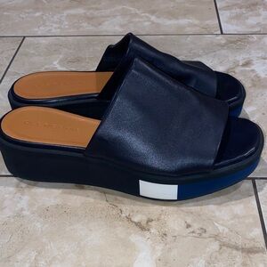 Robert Clergerie Slides